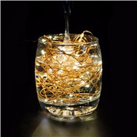 USB 100 LEDs Copper Wire Lights 10M String Lamps for Christmas Festival Wedding Party Home Decoration  CLH