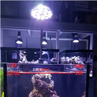 54W LED Aquarium Lamp 12 White 6 Blue E27 LED Coral Reef Grow Light PAR38 LED Aquarium Lights for Saltwater Reef Refugium Tanks