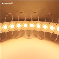 Tanbaby 20pcs/lot COB injection led module DC12V Waterproof 3W led modul for led advertising signs Backlights Channel Letters