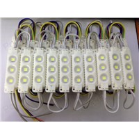 20pcs/lot LED Modules SMD5050 LED module Waterproof IP65 12V  Domestic lighting Red Blue Green white Yellow led lanterns