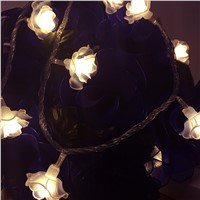 5 meter 40 pcs rose leds,AA battery operatated led string light, 2 color option,Wedding rose party light decoration