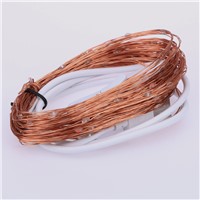 10M 100 LED Copper Wire Fairy String Lights lamp Outdoor/ Indoor USB 5V for Christmas Holiday Wedding Party Decoration