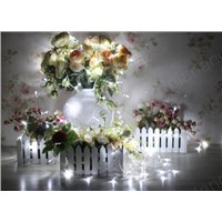 LED Strings 100LED10M Christmas/Wedding holiday /Party Decoration Lights waterproof AC 220V Outdoor