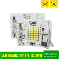 DIY LED SMD Chip Lamp 20W 30W 50W Light Chip 230V Input Directly Smart IC Fit For DIY LED FloodLight Cold White Warm White
