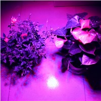 1pcs 54w LED Grow Light E27 LED Panel Lamp Conjoined Lens For Flowering Plants Vegetables Seeds Growing Tent Hydroponics #10