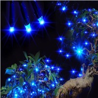 2017 LED Fairy String Solar LED Bulb Light For Wedding Party Xmas Garden Decor