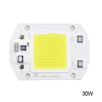 20W 30W 50W LED Chip 110V 221V LED COB Bulb Chip Input IP65 Smart IC Fit For DIY LED Flood Light LED Modules