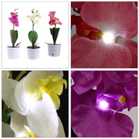 Solar Power 3 LED Blossom Orchid Flower Light with buds Battery Operate for Garden Outdoor Decor Desk Lamp MFBS