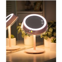 High Quality USB Charged 2 in 1 Makeup Mirror Table Lamp LED Light Make Up Desktop Intelligent Mirror Durable Beauty Tool
