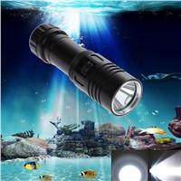 5000LM XM-L2 LED Scuba Diving Flashlight Ajustable Light Torch Underwater 100m Waterproof  Diving Lamb Light NG4S