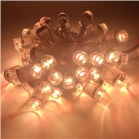 DC5V 12mm 5050 RGBW led smart pixel node TM1814 IC with clear wire IP68 waterproof 50pcs a string addresable 500pcs/lot