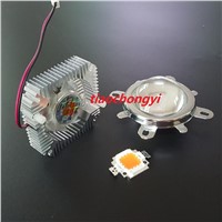 HOT 10W High Power LED 900mA 12V + 10Watt Driver + 50mm Lens+10w Heatsink