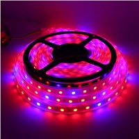 LED Grow Lights Growing LED Strip 5050 IP20 IP65 IP68 Plant Growth Light for Greenhouse Hydroponic plant 5m/lot AC100-240V