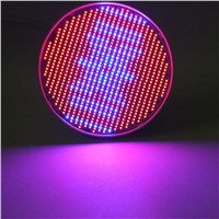 LED Grow Light E27 80W 800 LED Full Spectrum Horticulture Grow Lamp for Garden Flowering Growing Hydroponics System