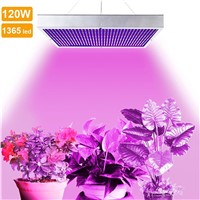 LumiParty Led Plant Growing Lamp 120w for Indoor Gardening System Greenhouse Hydroponics Grow Lamp For Flowering Plant Lighting