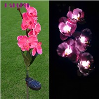 5 Head Solar LED Decorative lights Outdoor Lawn Lamp 5 Head Of Solar Butterfly Orchid flower L70630
