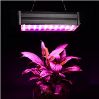 Double Chips 300W LED Grow Light Full Spectrum 380nm-760nm LED Plant Grow Light For Indoor Plants Flowering And Growing