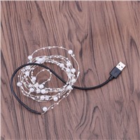 2m 40 LEDs Pearl Copper Wire String Light Warm White Fairy Lights for Craft Glass Bottle Valentines Wedding Decoration Christmas
