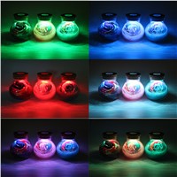 iTimo LED RGB Dimmer Lamp Creative Romantic Bulb Rose Flower Bottle Light Great Holiday Gift For Lady Girl 16 Colors Remote
