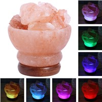 2017 Cornucopia Shaped Salt Lamp Various Shapes Can Be Customized Various Shapes Air Purifier Relieve Stress Night Light US
