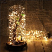 2pc 100 LED Night light String Flash Twinkle Copper String Lamp flashlight Christmas Party Garden Tree Decoration