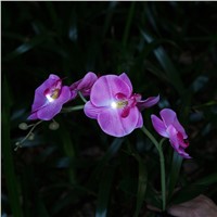 Mabor Luminaria Pink Solar Power Moth Orchid Flower LED Light Lawn Lamp Decors Decorative Lights