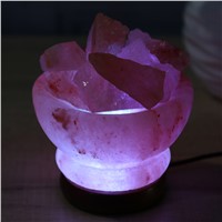 USB Table Lamps Cornucopia Shaped Crystal Salt Lamp Purify the Air Relieve Stress Bedroom Living Room Decoration