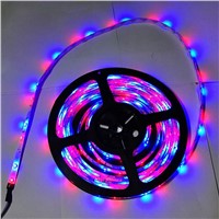 1 PC DC 12V 5M SMD 300 LEDS 3528 RGB Non- Waterproof LED Strip Light Lamp  for Party Home Decoration P20