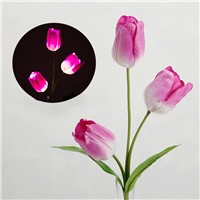 Solar Power Tulip Flower LED Light Lawn Lamp 3 Heads Yard Decorative Lights Pink