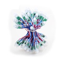 50pcs/lot 12mm ws2811 2811 IC led module string led 12v 50 node/string digital rgb full color waterproof led light for Christmas
