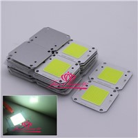 100PCS 50W Pure white 6000k High Power COB LED 32V 125MA For DIY LED Flood Light