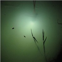 STEPPEAK Diving Flashlight 18650 Light Dive Torch Powerful Cree LED XM-L2 Underwater Flashlight Waterproof Diving Lamp