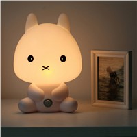 EU Plug Baby Bedroom Lamps Night Light Cartoon Pets Rabbit Panda PVC Plastic Sleep Led Kid Lamp Bulb Nightlight for Children
