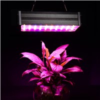2pcs Hydroponics Systems LED Plant Grow Lights 1000W LED Grow Light Full Specturm for Greenhouse Indoor Plant Flowering Growing