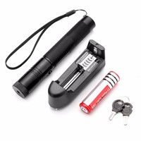 Adjustable Focus Burning Green Laser Pointer Pen 301 Continuous Line 5000 to 10000 meters Laser range+Battery+Battery charger