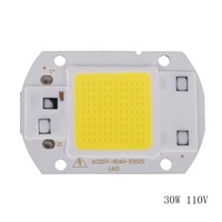 20W 30W 50W LED Chip 220V LED COB Bulb Chip Input IP65 Smart IC Fit For DIY LED Flood Light LED Modules High Quality