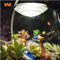 VNL LED Micro Eco Light DIY Emulated Plants or Succulents in Small World Decorate for Home and Contribute to Mental Health