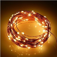 10M 12V LED String Lights Wire Lights Waterproof Starry String Lights Rope Lights for Garden Xmas Outdoor Decor   CLH