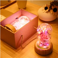 Christmas Lights Outdoor Decoration LED Night Light Dream Streamer Bottle Bluetooth Speaker Ever-fresh flower version