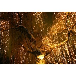 iTimo 100 LED 10M Outdoor Lighting String Fairy Lights Lamps Christmas Wedding Decoration US Plug Home Decoration Party Supplies