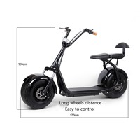 Harley electric bicycle scooter car electric balance Adult walking ebike lithium battery 48V