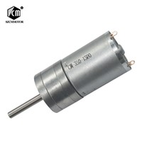 6v 12v 24v 16rpm to 1360 Rpm Micro Low Speed Small Gear Motor with Long Output Shaft 25mm*4mm