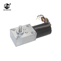 5840-3650 BLDC Worm Geared Motor 12V 24V DC High Power High Torque Silent Brushless Worm Gear Motor for Curtain Machine