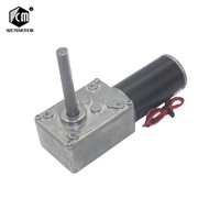 DC12V 24V Strong Torque Worm Gearbox Reduction Reversed Type-D Long Shaft High-Power Worm Gear Motor Curtain Motor 5840-31zy