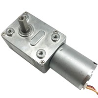 Micro Brushless 12V 24V DC Worm Gear Motors High Torque Max. 25KG Low RPM 6-150RPM Self Locking Low Noise Reversed In BLDC Motor
