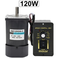 220V Electric Micro AC High Speed Motors Single Phase 120W 1400/2800RPM Induction Motor with High Torque Speed Control Reversed