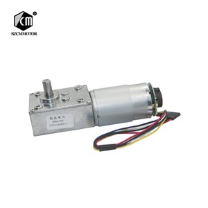 5840-555 Strong Torque Adjustable Speed Turbo Worm Speed Reduction Gear Motor Code Disk with Hall Sensor Encoder Geared Motor