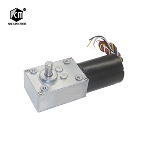 High-Power Low Noise 12v 24v Brushless DC Worm Gear Motor Long Life Silent Slow Speed High Torque Electric Reducer Motor