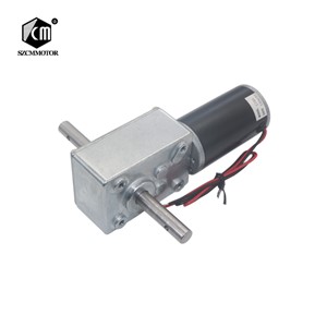 5840-31ZY Long Output Axis Worm Geared Motor 12V 24V DC Large Torque High-Power Dual Shafts Worm Gear Motor