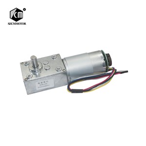 58mm*40mm Gearbox Reversed DC Worm Gear Motor with 16PPR Hall Sensor Encoder Strong Torque Worm Geared Motor 5840-555